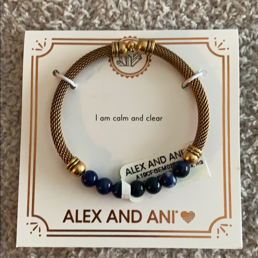 Alex and Ani mesh cuff bracelet